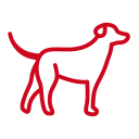 noun dog 6892119 CC071E